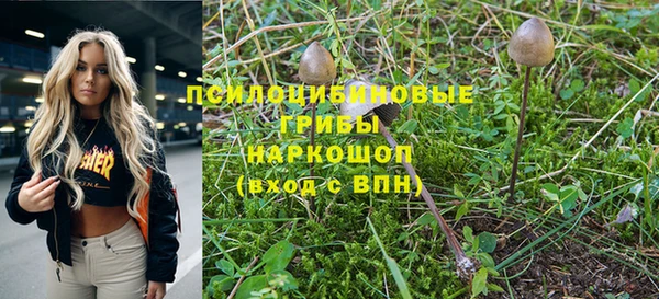 марихуана Белокуриха
